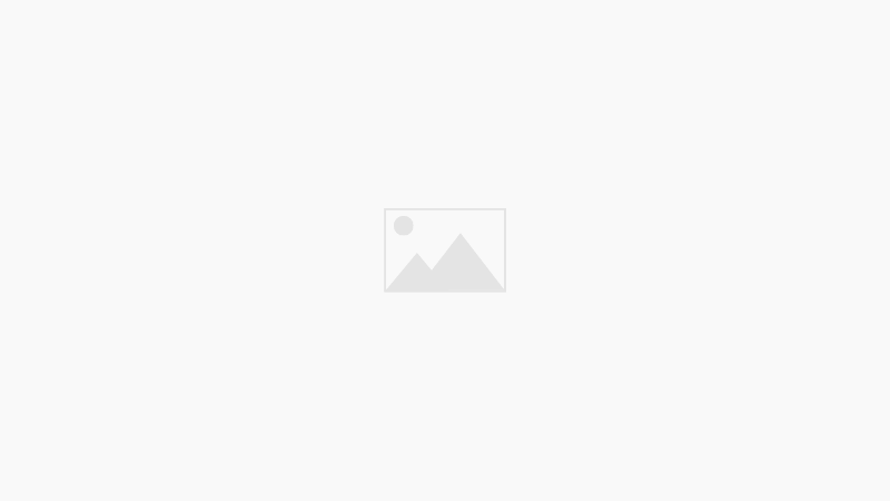 New Features Section