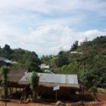 a long shot of a village and the surrounding trees