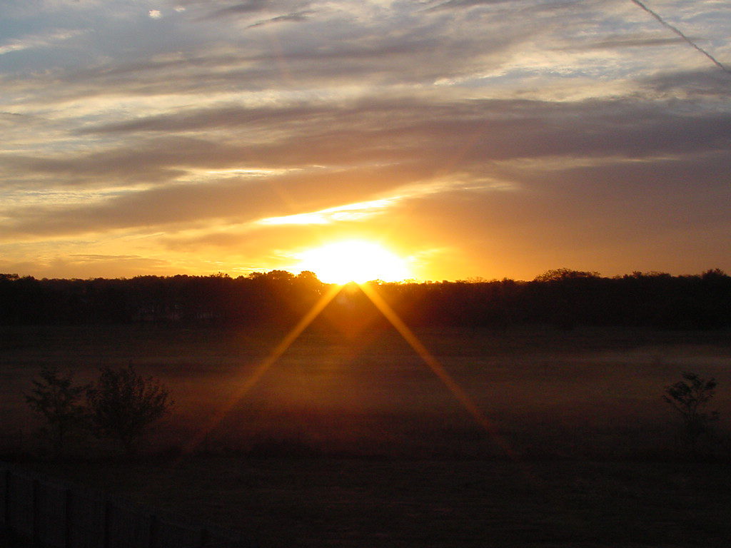 Sunset over trees