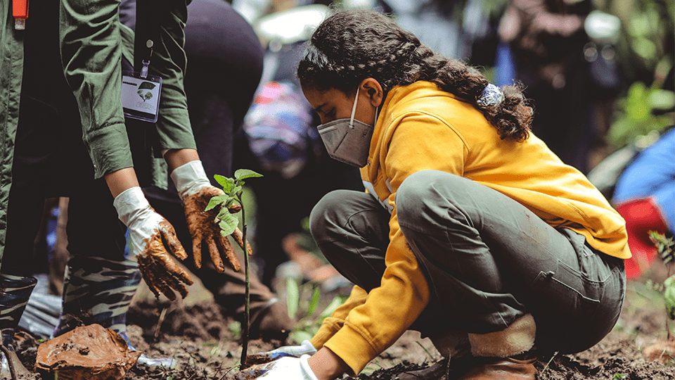 Read more about the article Beyond Sustainability: A New Conceptual Model
