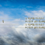 Birds on wires, one bird sits alone from the rest