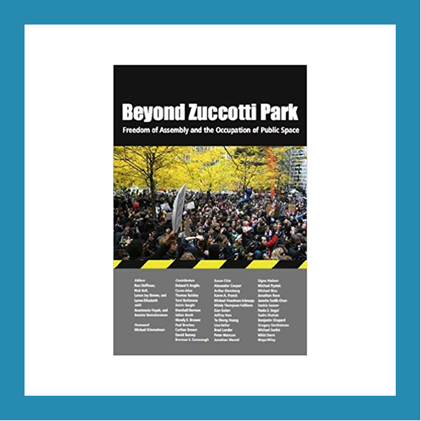 Read more about the article 2.2.6 | Beyond Zucotti Park: Freedom of Assembly and the Occupation of Public Space