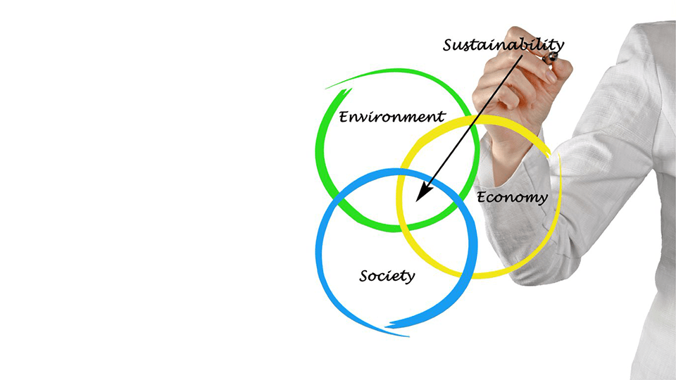 Read more about the article Beyond Sustainability: Introduction