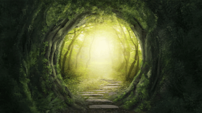 Read more about the article The Grief of a Teacher: Reflections on Trauma, Dis/Connections, and Institutional Paradox