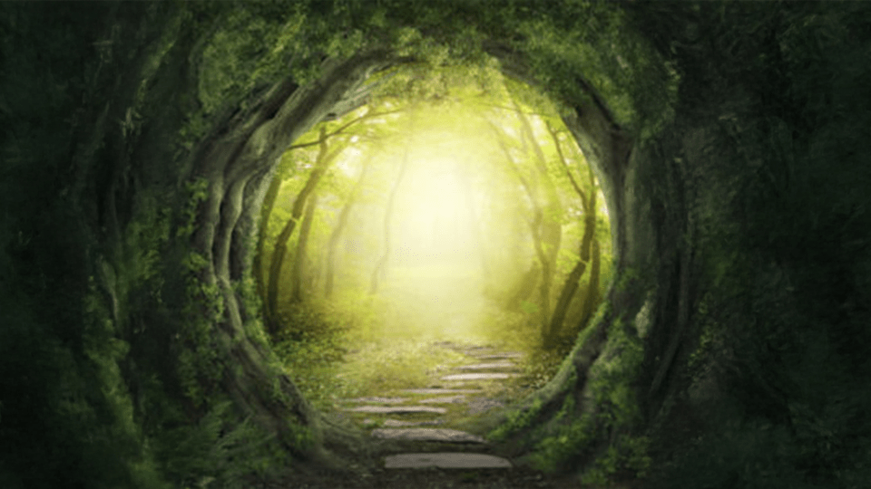 Read more about the article The Grief of a Teacher: Reflections on Trauma, Dis/Connections, and Institutional Paradox