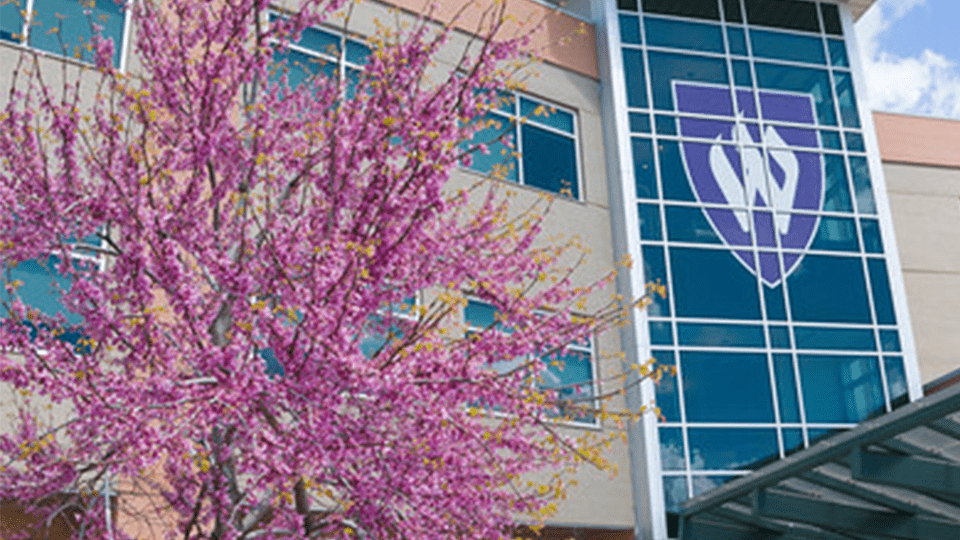 Read more about the article Are We Engaged? A College-Level Inventory of Community Engagement in Weber State University’s College of Arts and Humanities
