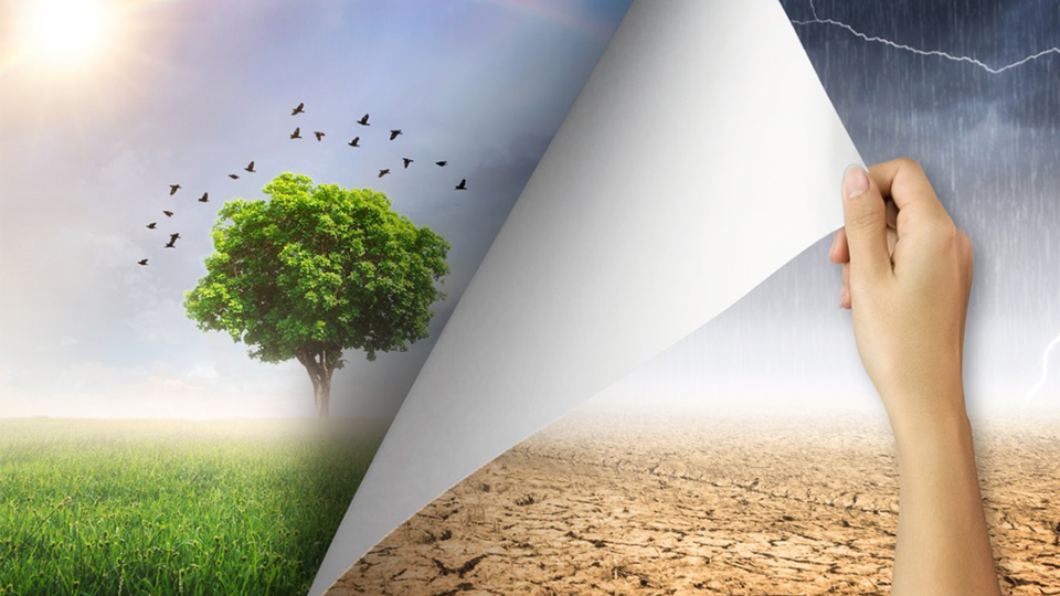 Read more about the article “Change is the Essential Process of all Existence:” Transformation through Civic Learning and Democratic Engagement’s Theory of Emergent Change