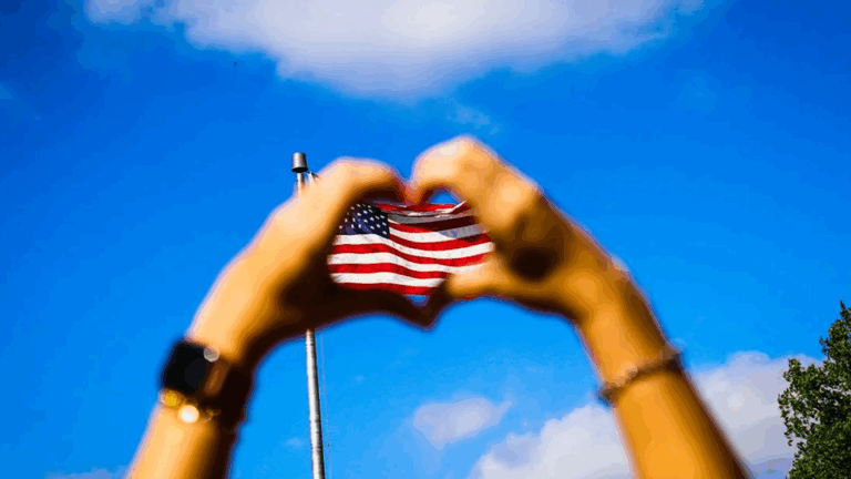 Read more about the article Erosion and Renewal in Democratic Life