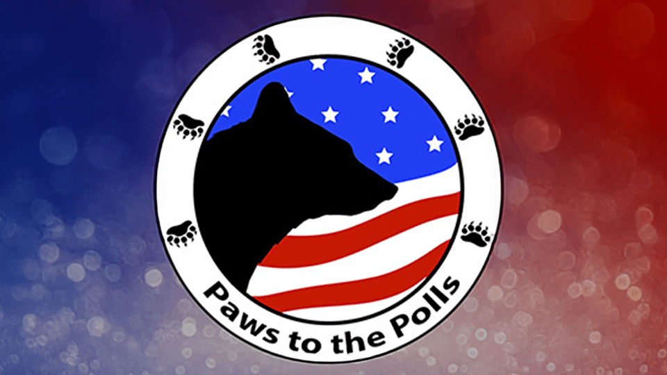 Read more about the article Paws to the Polls: The Making of a Campus Voter Initiative