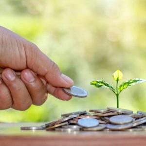 A large hand offers a small plant buried in coins another coin